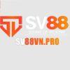 5ffe5a sv88 logo